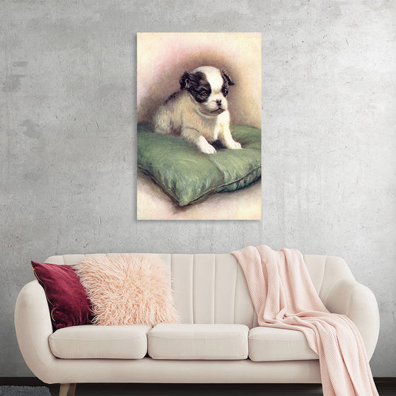 "Japanese Chin (1912)"