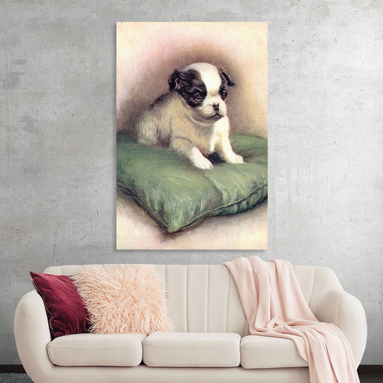 "Japanese Chin (1912)"