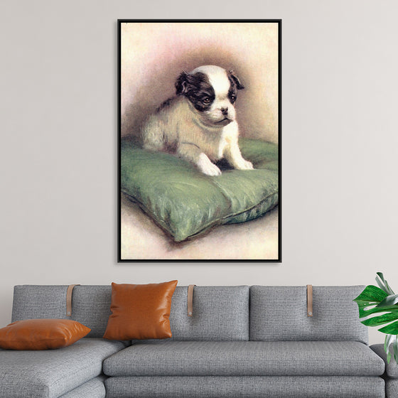 "Japanese Chin (1912)"