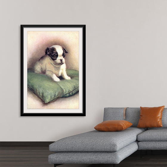 "Japanese Chin (1912)"