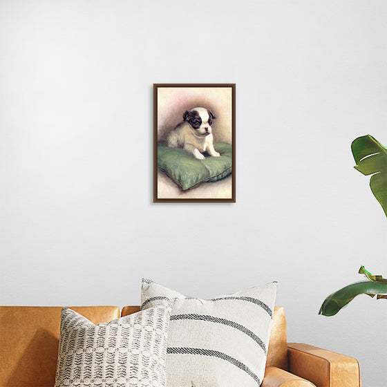 "Japanese Chin (1912)"