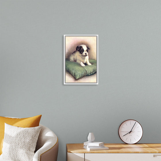 "Japanese Chin (1912)"