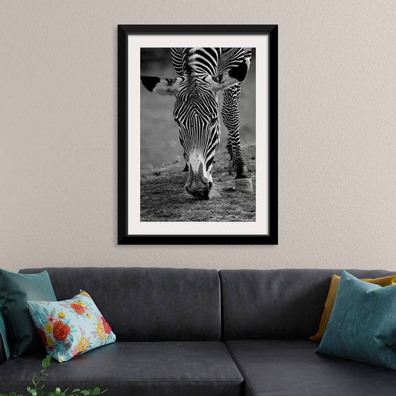 “Stripes of the Wild”