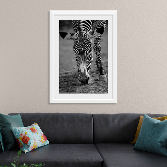 “Stripes of the Wild”