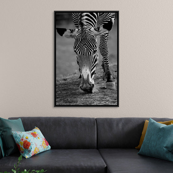 “Stripes of the Wild”