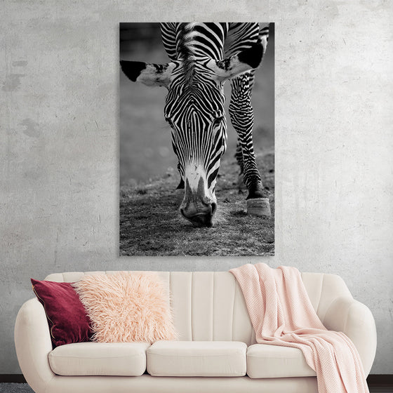 “Stripes of the Wild”