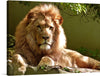 A stunning piece of photography that captures the essence of the king of the jungle. The artwork features a close-up portrait of a majestic lion against a dark background, highlighting the intricate details of the lion’s mane and facial features.