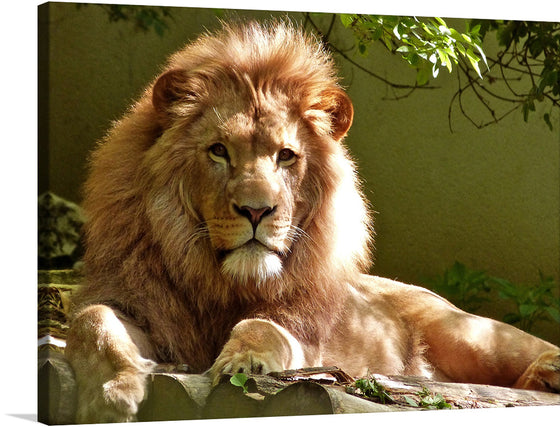 A stunning piece of photography that captures the essence of the king of the jungle. The artwork features a close-up portrait of a majestic lion against a dark background, highlighting the intricate details of the lion’s mane and facial features.