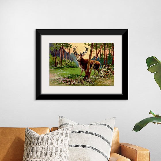 "Deer in the Forest"