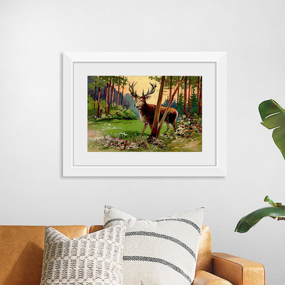 "Deer in the Forest"