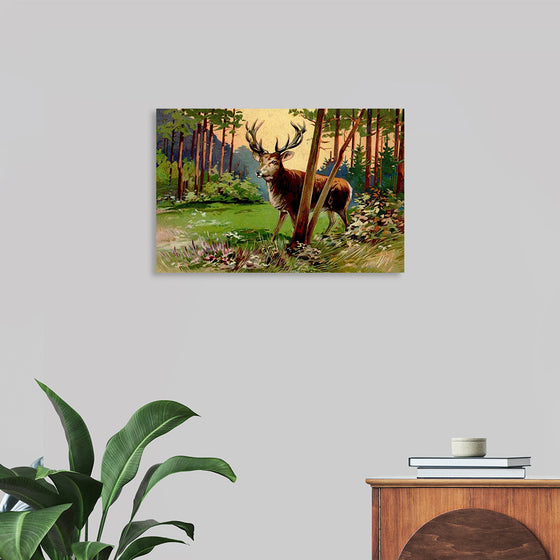 "Deer in the Forest"