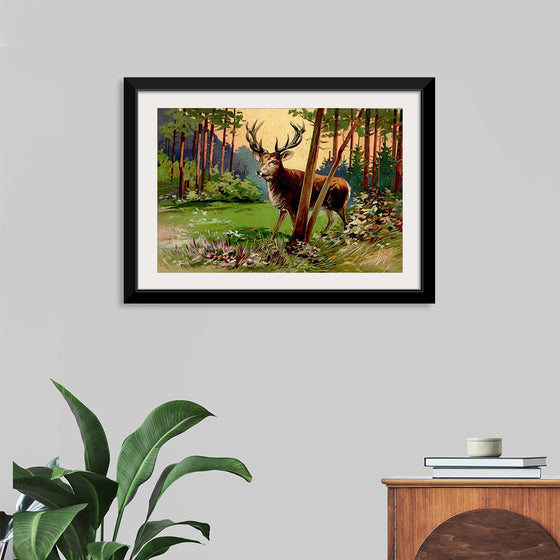 "Deer in the Forest"