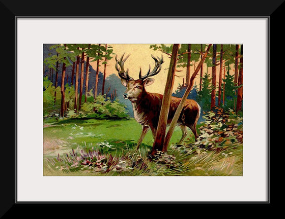 "Deer in the Forest"