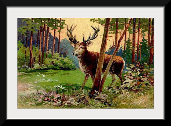 "Deer in the Forest"