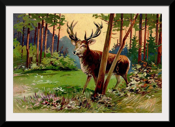 "Deer in the Forest"