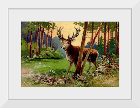 "Deer in the Forest"