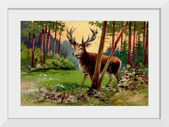 "Deer in the Forest"