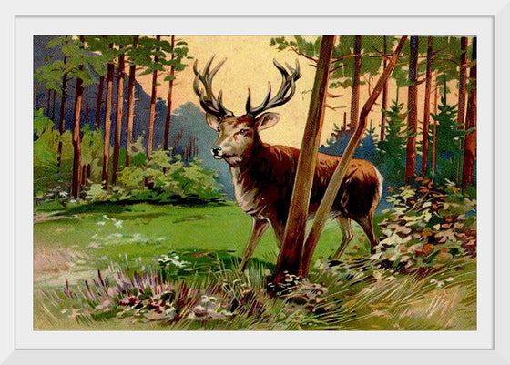 "Deer in the Forest"