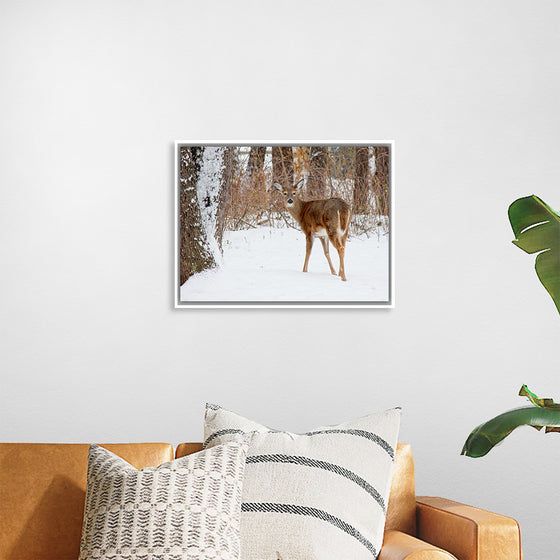 "Deer in the Woods"