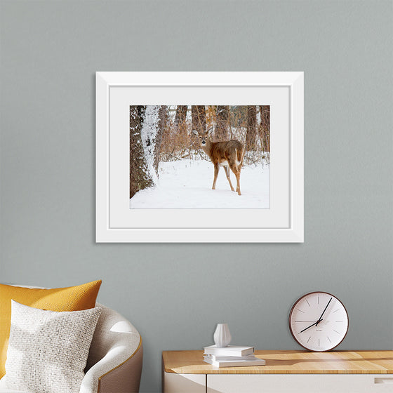 "Deer in the Woods"