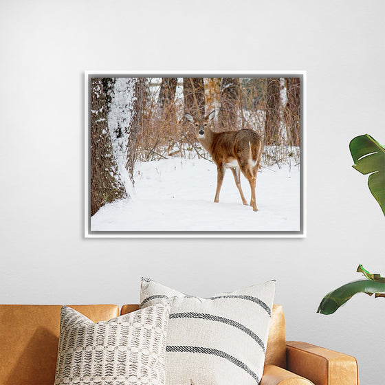 "Deer in the Woods"