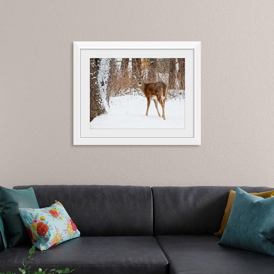 "Deer in the Woods"