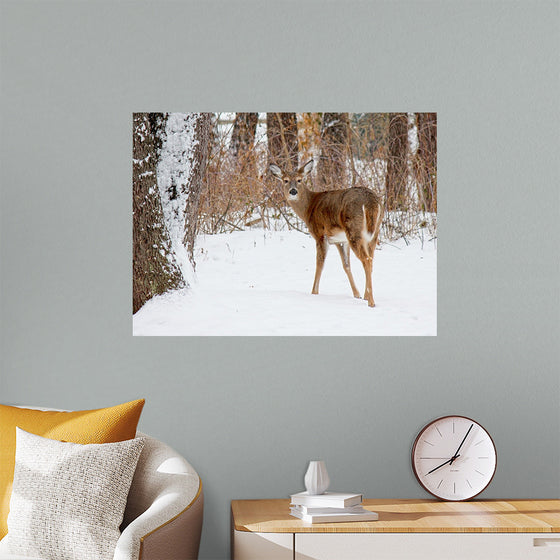 "Deer in the Woods"