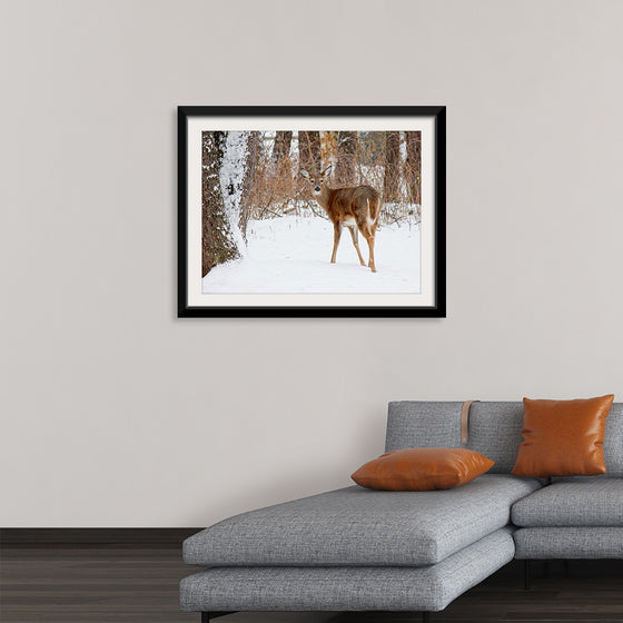 "Deer in the Woods"