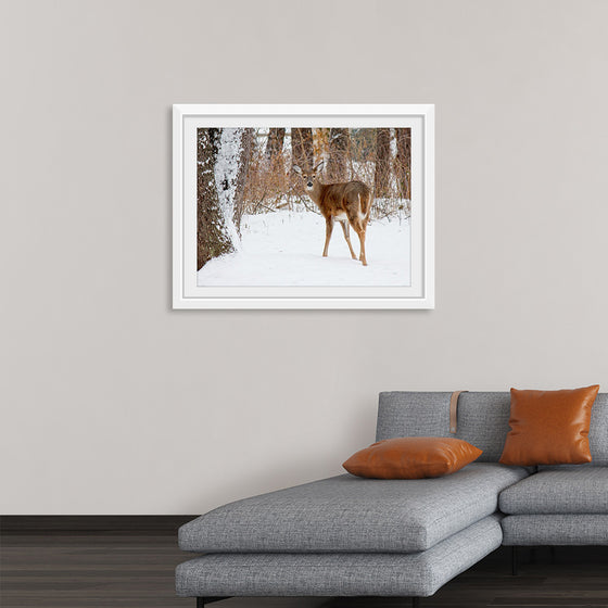 "Deer in the Woods"