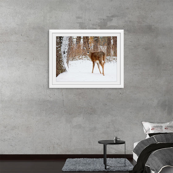 "Deer in the Woods"