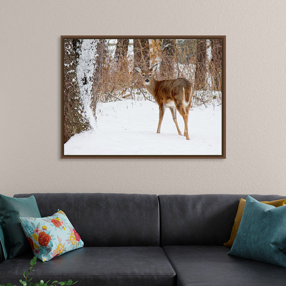 "Deer in the Woods"