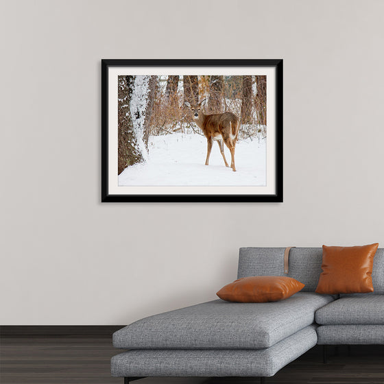 "Deer in the Woods"