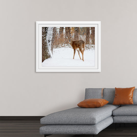 "Deer in the Woods"