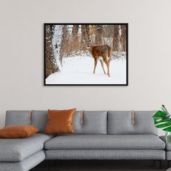 "Deer in the Woods"