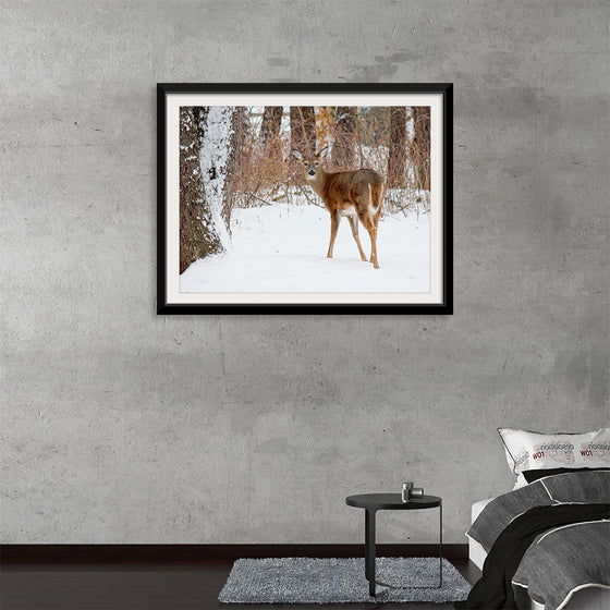 "Deer in the Woods"