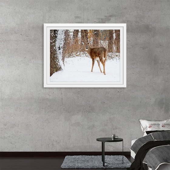 "Deer in the Woods"