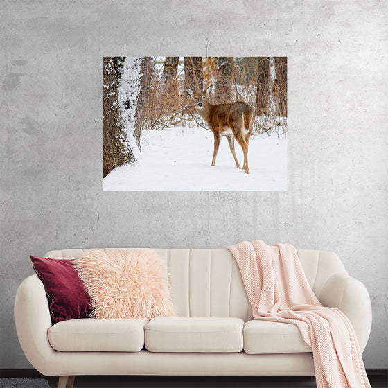 "Deer in the Woods"