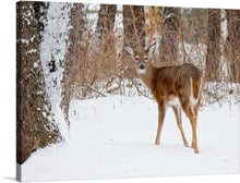  This beautiful print features a deer in a snowy forest. The deer is standing in the snow, looking directly at the camera. The background is filled with trees and snow, creating a peaceful and serene atmosphere. This print would make a great addition to any nature lover’s collection.