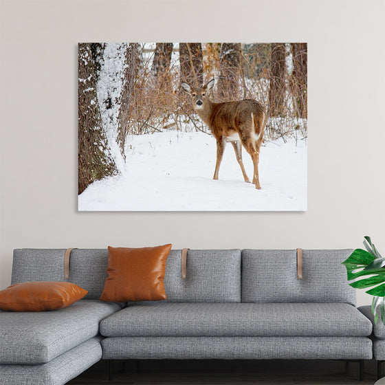 "Deer in the Woods"