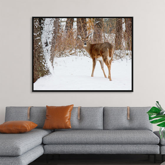 "Deer in the Woods"