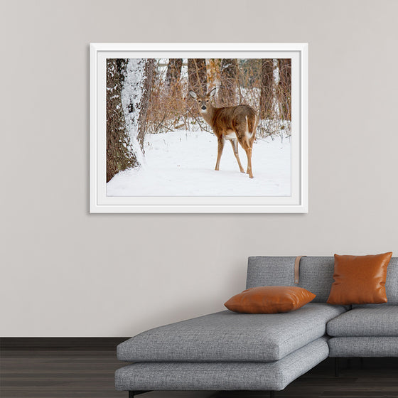 "Deer in the Woods"