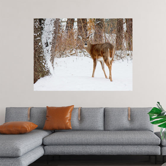 "Deer in the Woods"