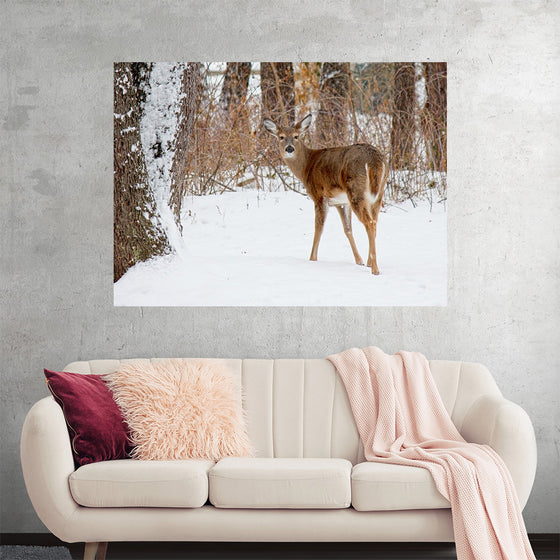 "Deer in the Woods"