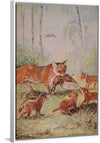 "Vixen & Cubs Fox (1910)", Maude Scrivener