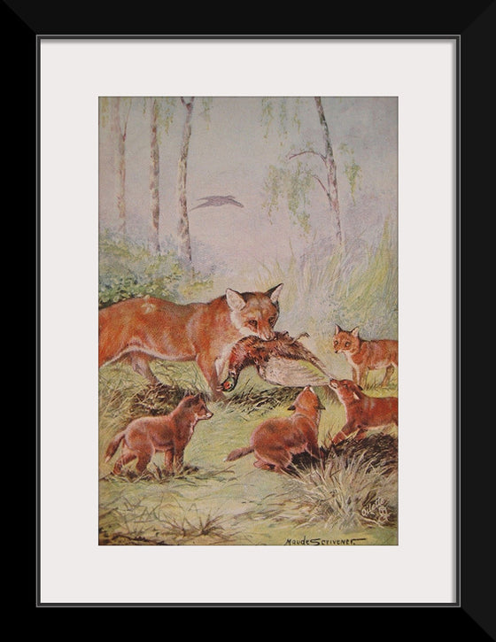 "Vixen & Cubs Fox (1910)", Maude Scrivener