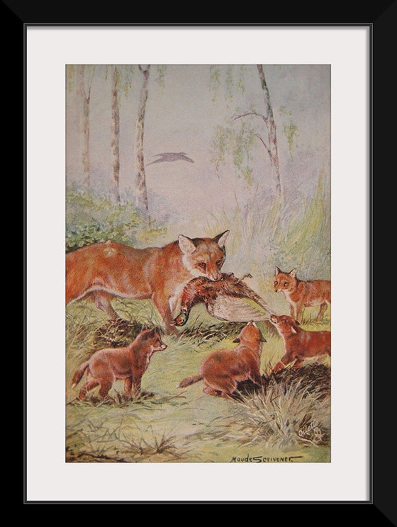 "Vixen & Cubs Fox (1910)", Maude Scrivener