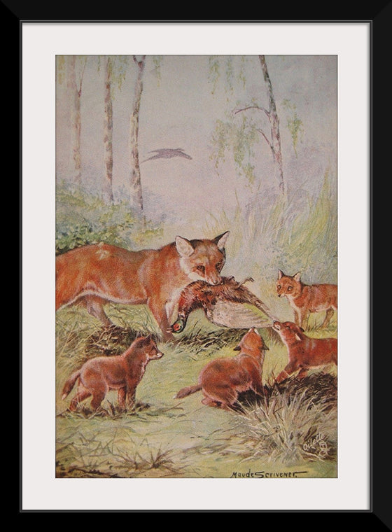 "Vixen & Cubs Fox (1910)", Maude Scrivener