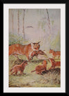 "Vixen & Cubs Fox (1910)", Maude Scrivener