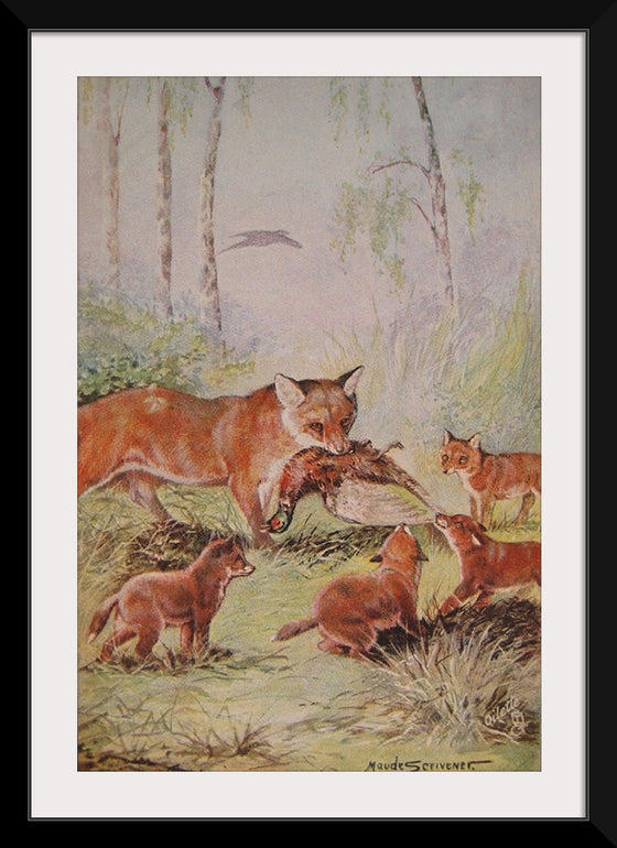 "Vixen & Cubs Fox (1910)", Maude Scrivener