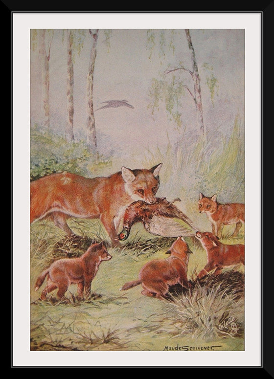 "Vixen & Cubs Fox (1910)", Maude Scrivener